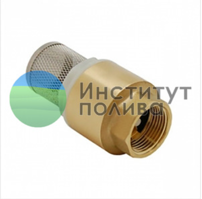 Клапан обратный 1" ВР металл с пластиковым седлом и предсеткой "MAITEC"