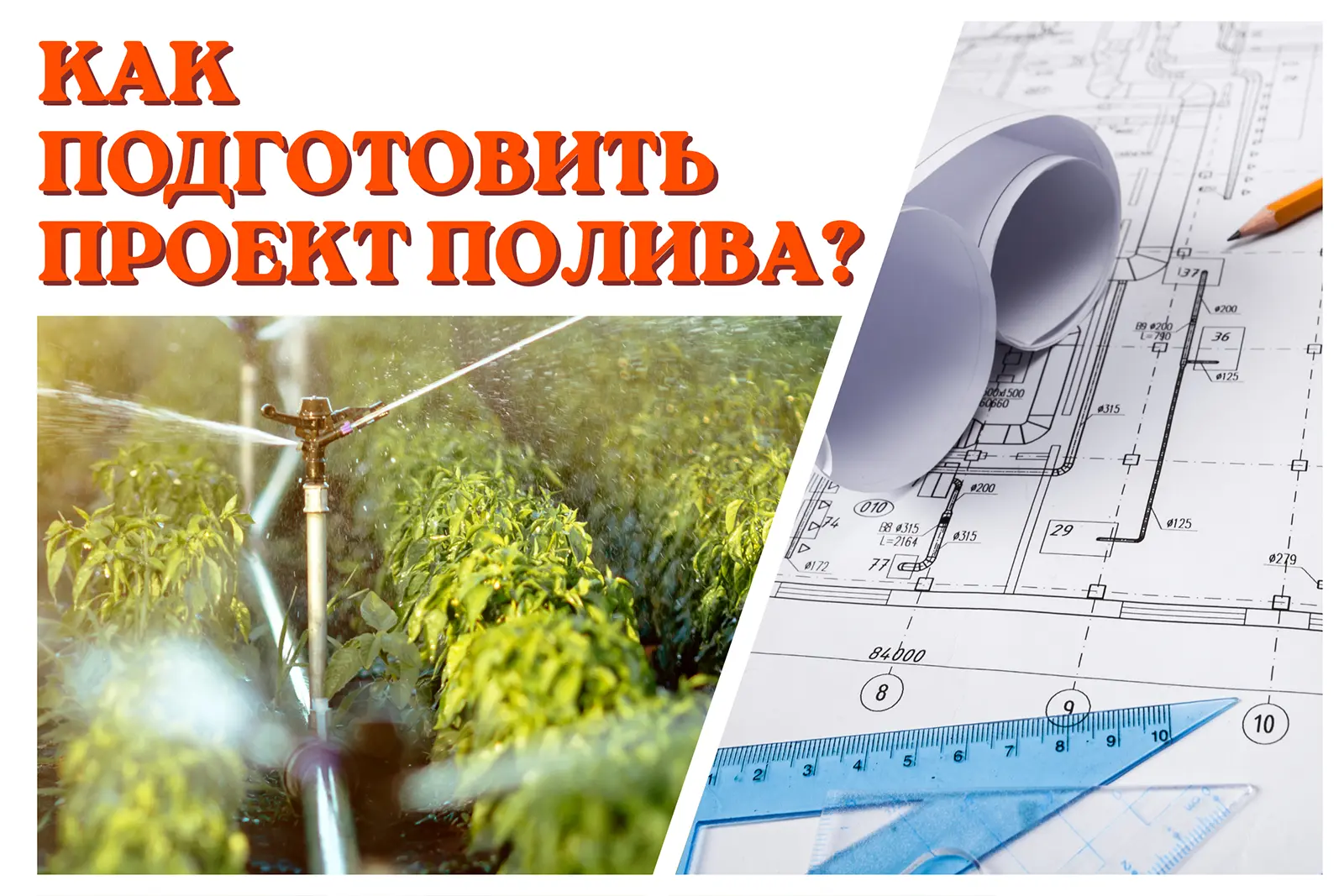 Как подготовить проект системы полива: пошаговое руководство