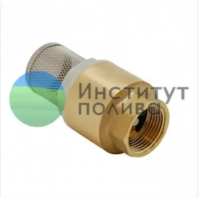 Клапан обратный 1" ВР металл с пластиковым седлом и предсеткой "MAITEC"