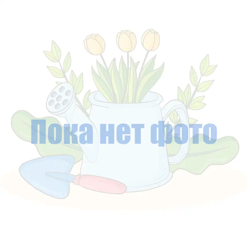 Трубопровод LAYFLAT 2" 4 бар (ПОЛИФЛЭТ)