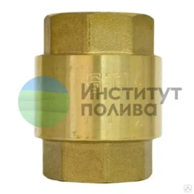 Клапан обратный 1" НР х ВР (направление от НР) металл с латунным седлом "TIM"