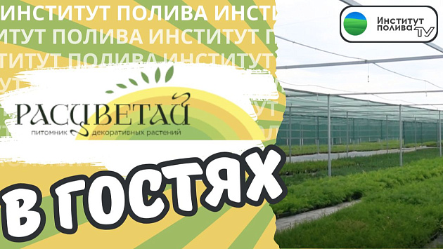 В гостях у питомника растений "Расцветай"